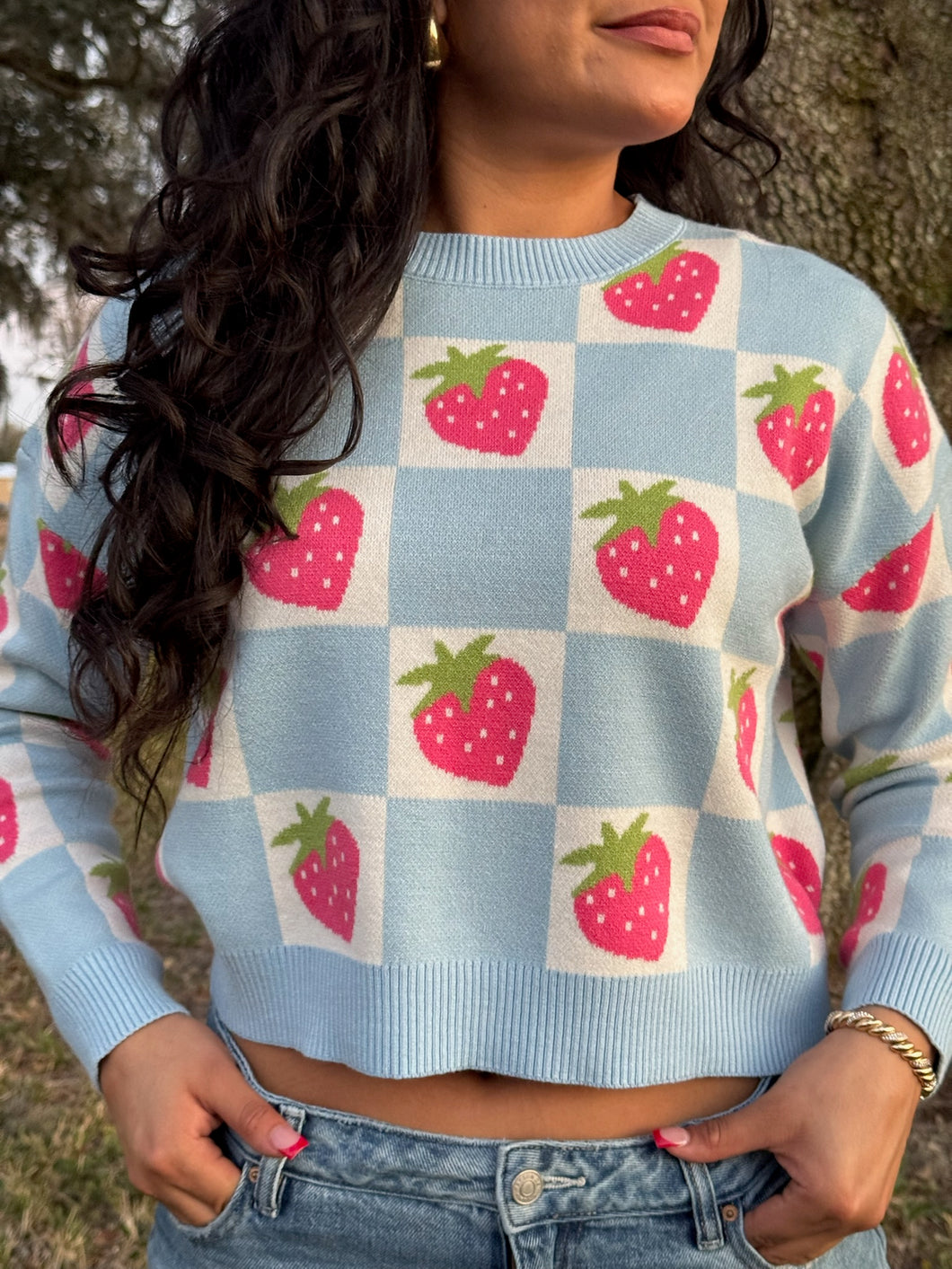 Berry Sweater