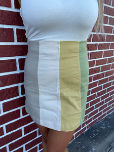 Color Block Skirt