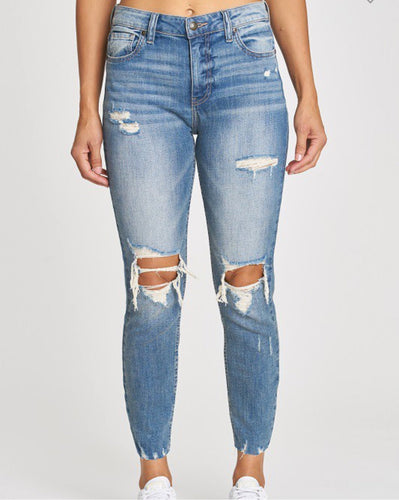 Davie High Rise Skinny Jeans