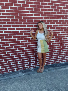 Color Block Skirt
