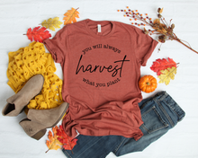 Load image into Gallery viewer, Harvest Graphic